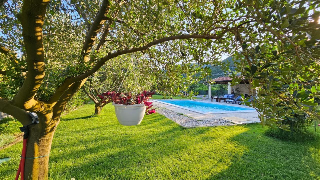 Natura With Private Pool